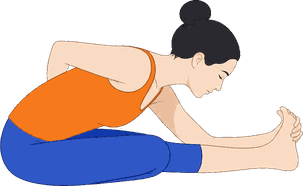 An illustration of Ardha Baddha Padma Paschimottanasana, Half Bound Lotus Forward Fold.