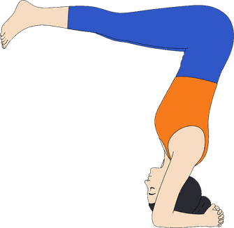 An illustration of Ardha Sirsasana, Half Headstand.