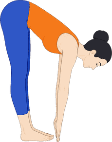 An illustration of Ardha Uttanasana, Half Lift.