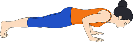 An illustration of Chaturanga Dandasana, Four-Limbed Staff.