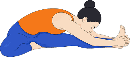 An illustration of Janu Sirsasana B, Head to Knee B.