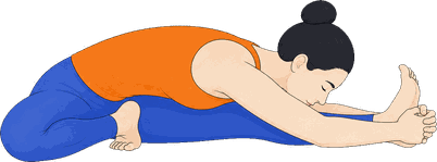 An illustration of Janu Sirsasana C, Head to Knee C.