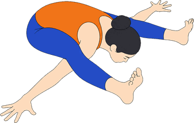 An illustration of Kurmasana, Tortoise Pose.