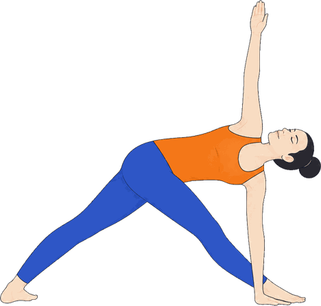 An illustration of Parivrtta Trikonasana, Revolved Triangle.