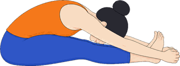 An illustration of Paschimottanasana C, West Stretch C.