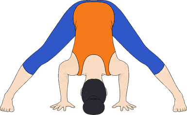 An illustration of Prasarita Padottanasana A, Wide-Leg Forward Fold A.