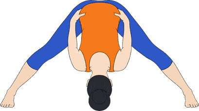 An illustration of Prasarita Padottanasana B, Wide-Leg Forward Fold B.