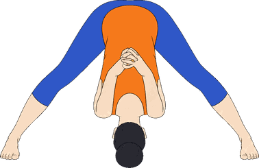 An illustration of Prasarita Padottanasana C, Wide-Leg Forward Fold C.