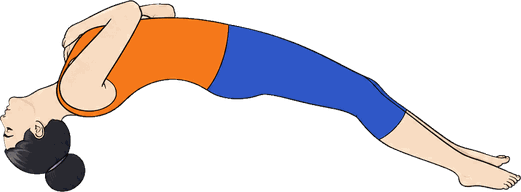 An illustration of Setu Bandhasana, Bridge Pose.