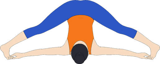 An illustration of Supta Konasana, Reclined Angle Pose.