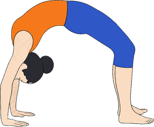 An illustration of Urdhva Dhanurasana, Upward Bow Pose.
