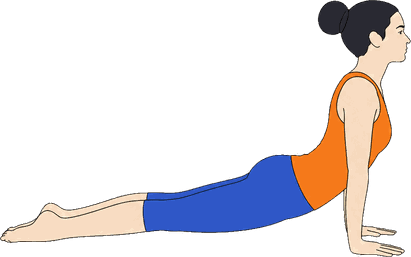 An illustration of Urdhva Mukha Svanasana, Upward Facing Dog.