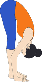 An illustration of Uttanasana, Standing Forward Fold, from the Ashtanga Primary Series.