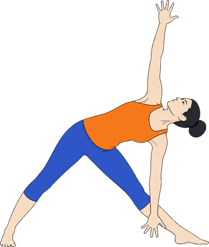 An illustration of Utthita Trikonasana, Extended Triangle.